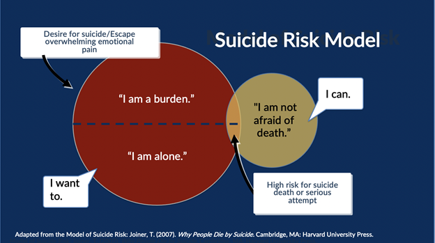 Understanding The Suicidal Person understanding-the-suicidal-person